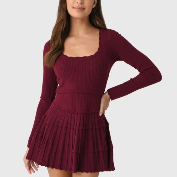 LoveShackFancy Stretch Pointelle Mini Dress in Spiced Berry, Size Small - Picture 1 of 3